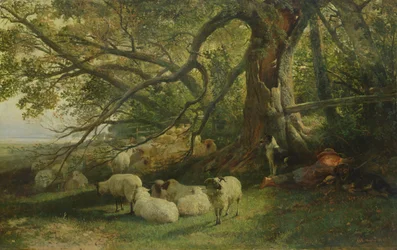 Odpočívající hejno, 1863